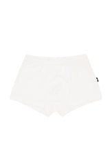 Briefs in Cloud