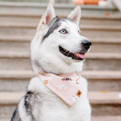 Dog Bandana in Gilmore Girls