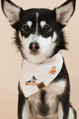 Dog Bandana in Halloween Teddy
