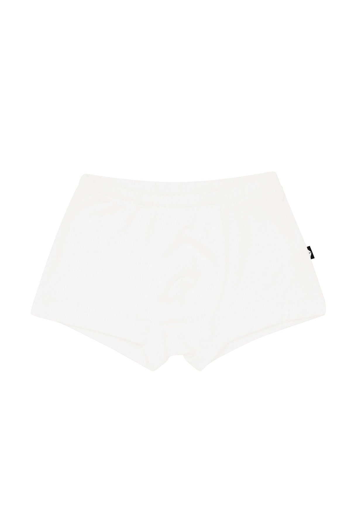 Briefs in Cloud