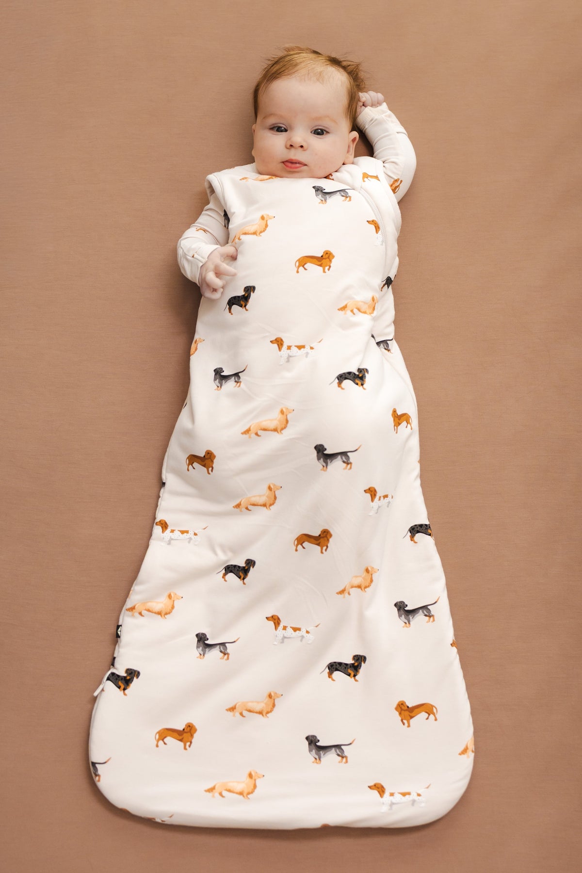 Sleep Bag in Dachshund 1.0