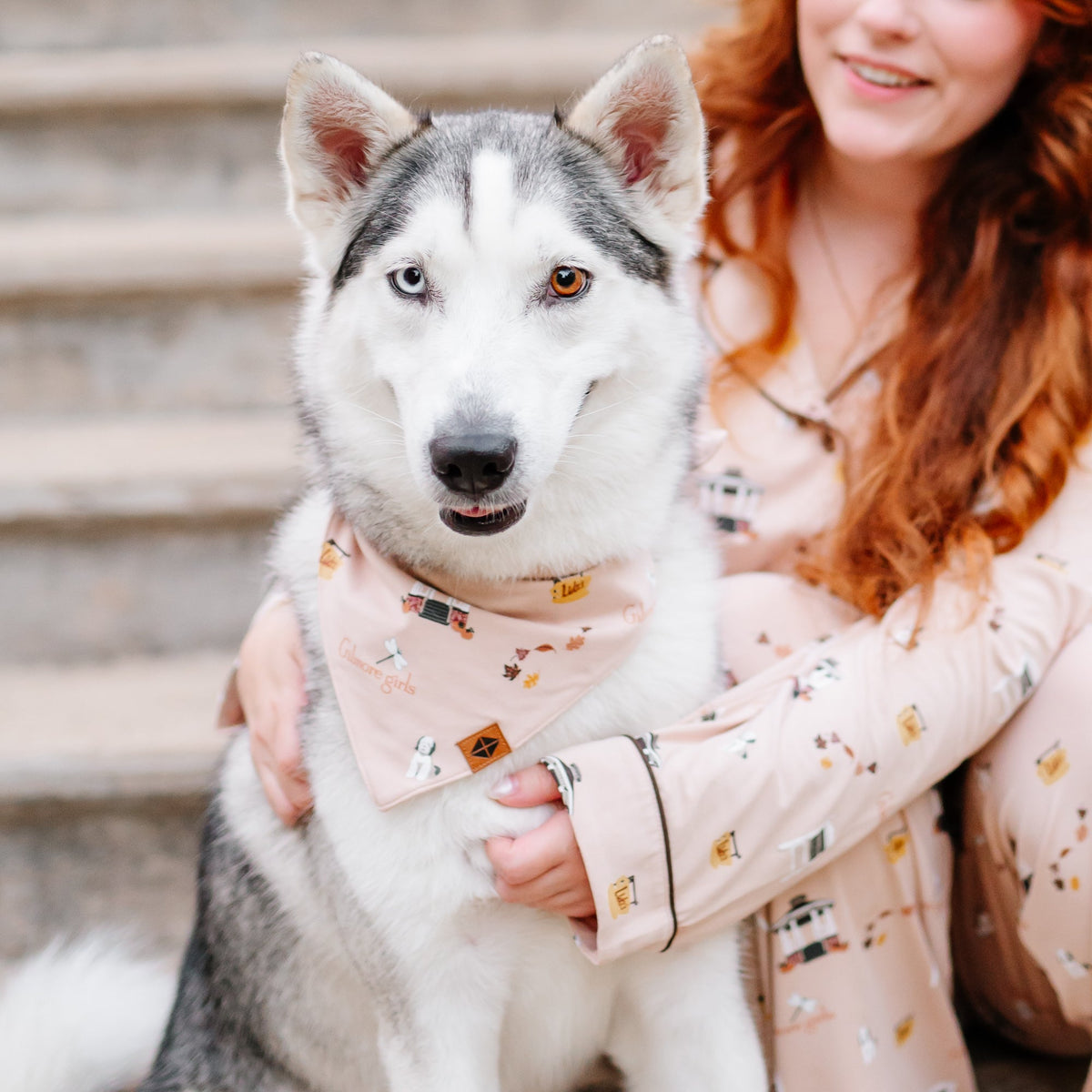 Dog Bandana in Gilmore Girls