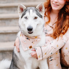 Dog Bandana in Gilmore Girls