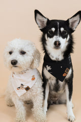 Dog Bandana in Halloween Teddy