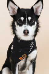 Dog Bandana in Halloween Friends