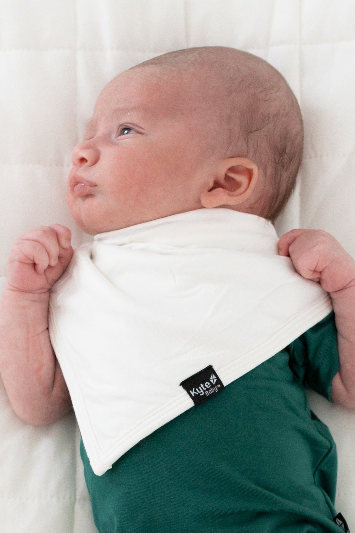 Bib in Cloud