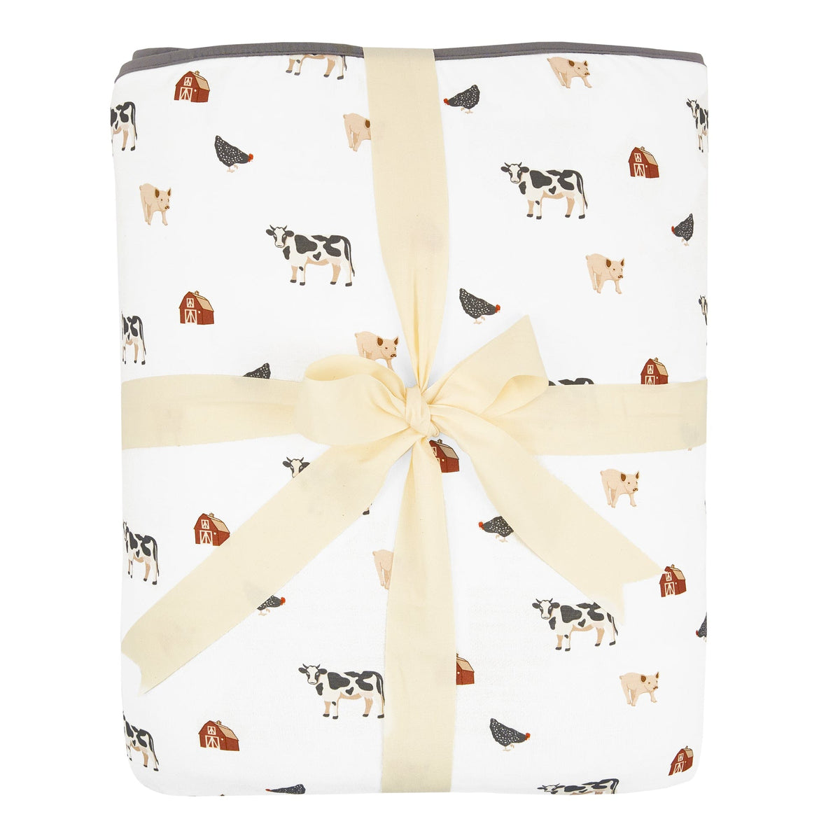 Youth Blanket in Farm 2.5
